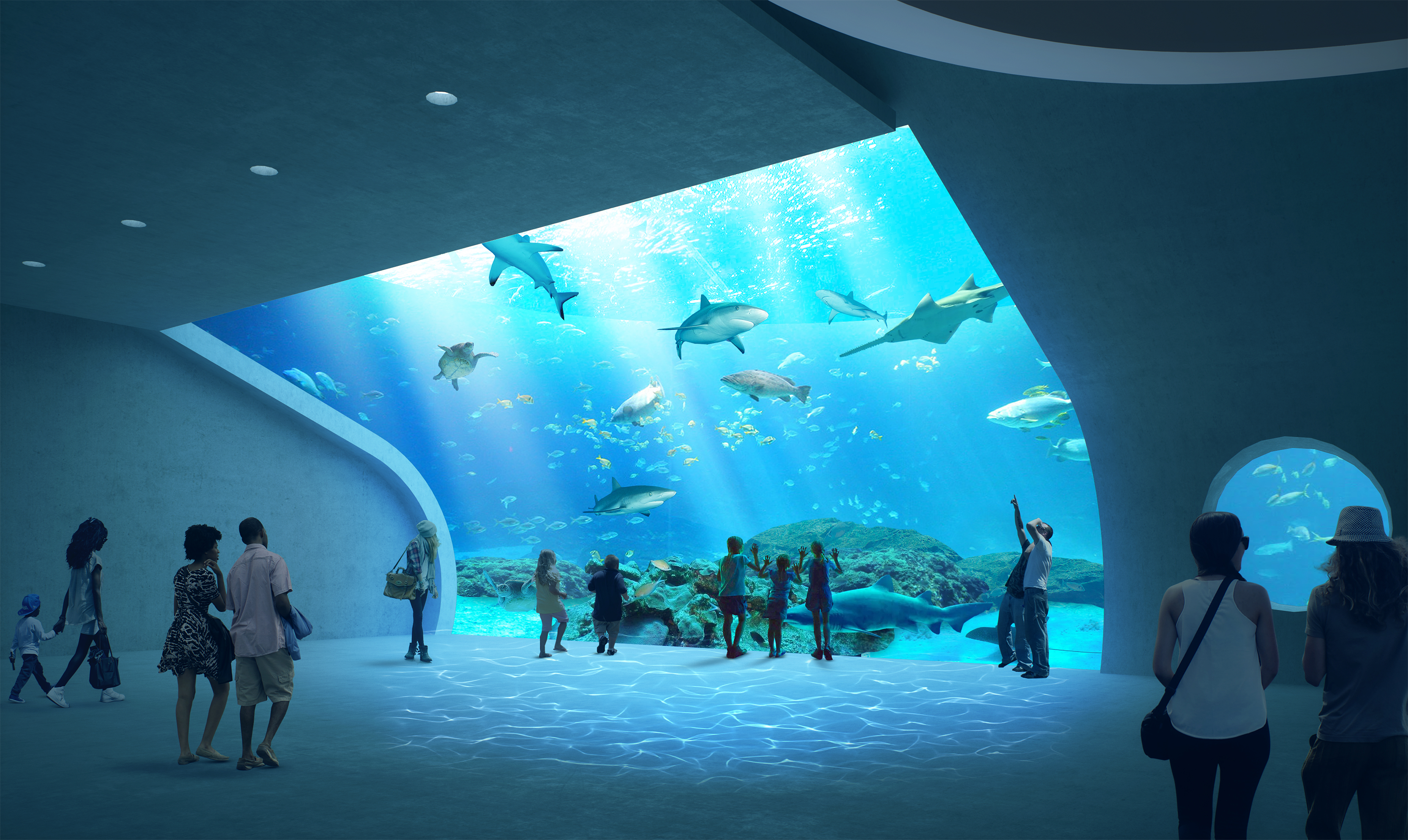 Mote SEA Expansion Zoos & Aquariums Case Study Roto Leading