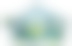 Port Color