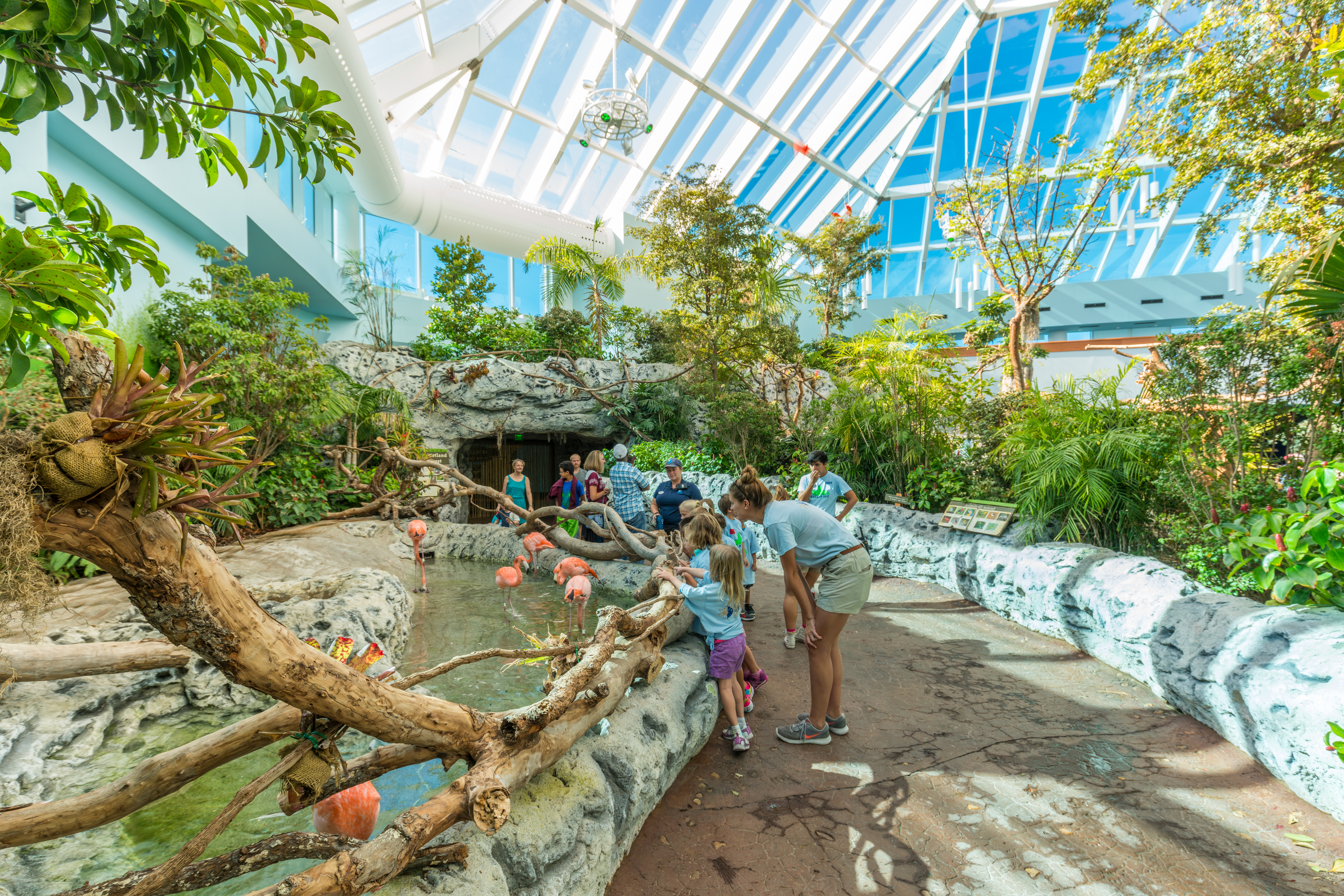 Les Aquariums ZOO à proximité de chez moi