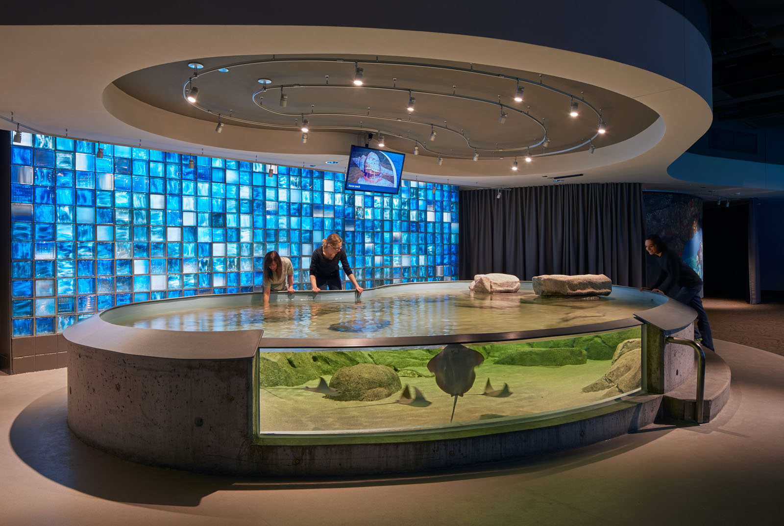 Zoos & Aquariums Market Roto Leading Planning & DesignBuild Firm